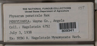 Image Associated With the Occurence